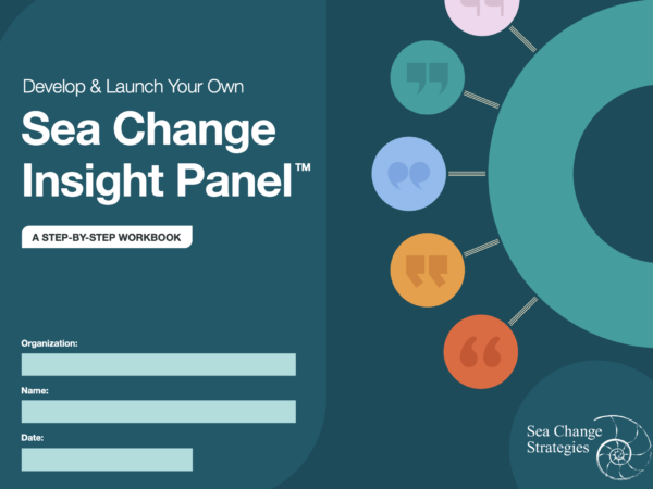 Who you lookin at? Sea Change Insight Panel cover